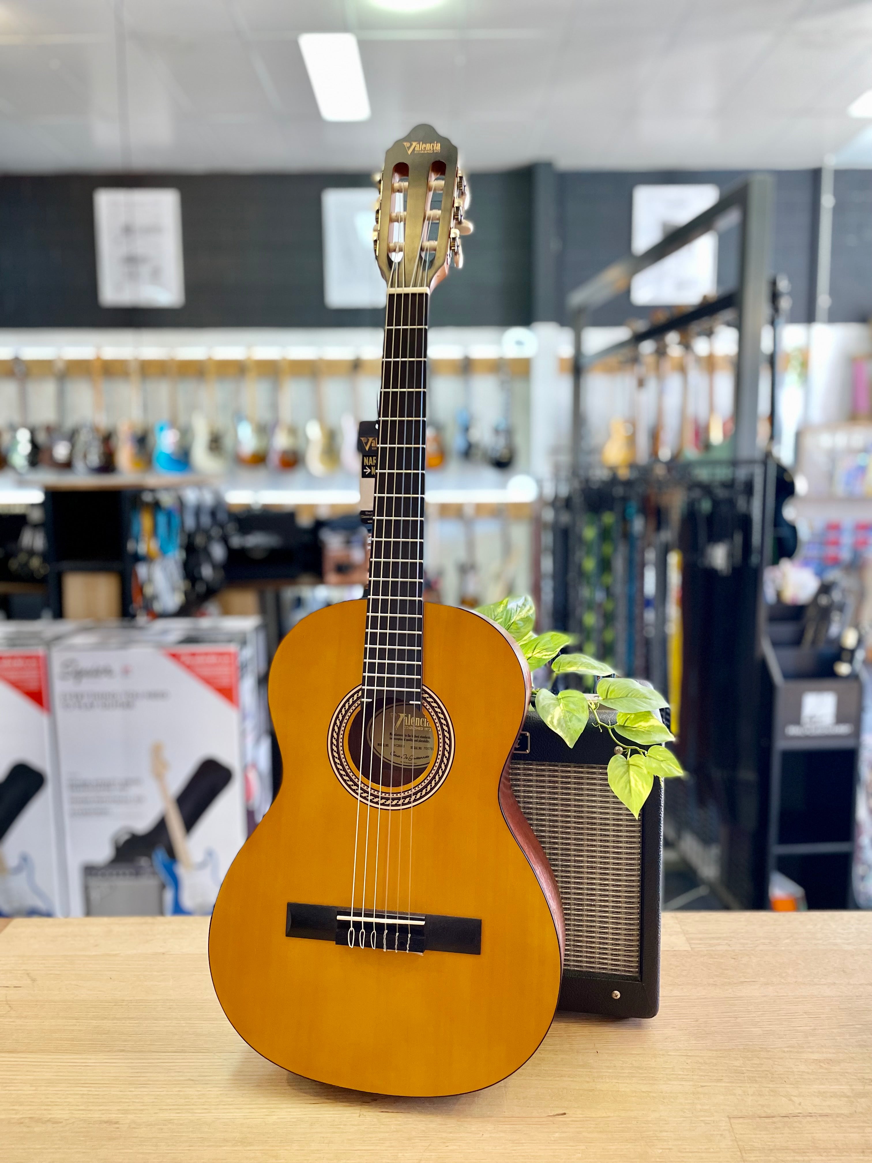 Valencia | VC203H | 3/4 Size | Slim Neck | Student Guitar Valencia | VC203H | 3/4 Size | Slim Neck | Student Guitar